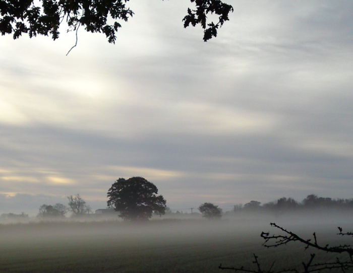 Local field